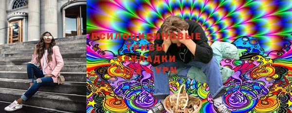 дмт Володарск